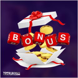 Type De Bonus